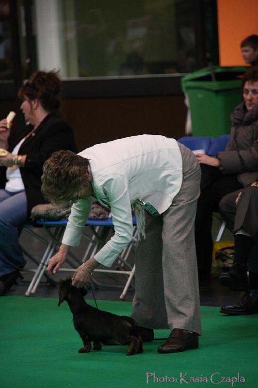 Crufts2011_2 1287.jpg